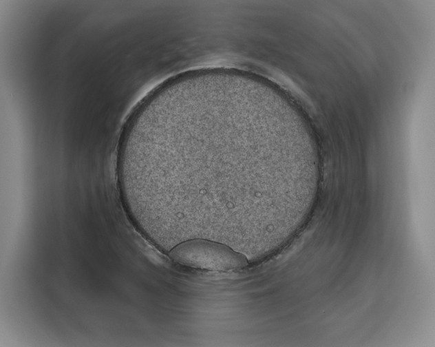 X0000115071216200911241115