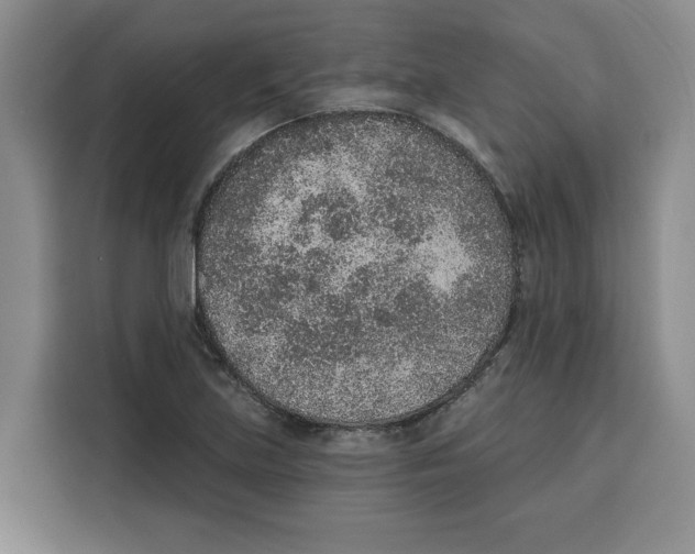 X0000115071219200911241115