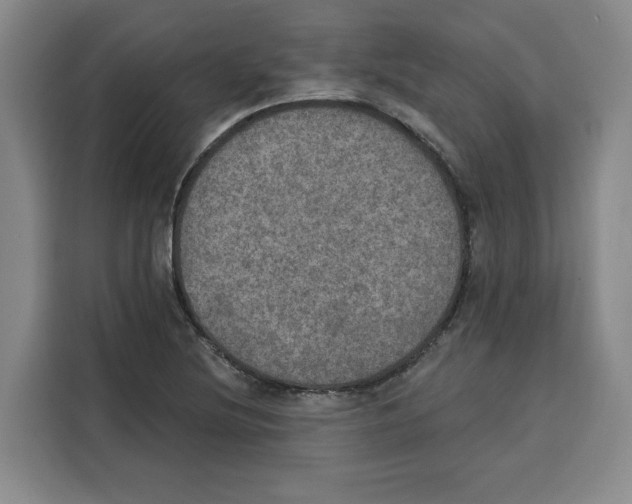 X0000115071220200911241115