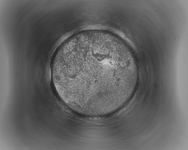 X0000115071221200911241115