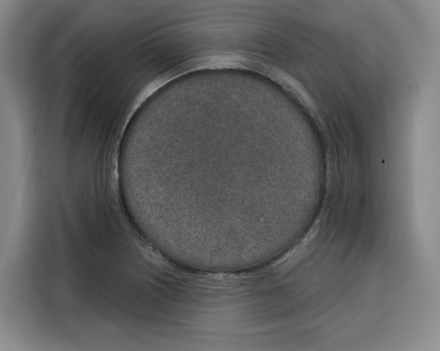 X0000115071226200911241115