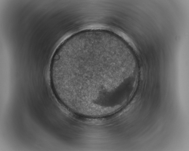 X0000115071229200911241115