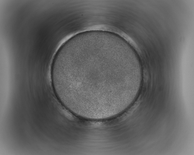 X0000115071230200911241115