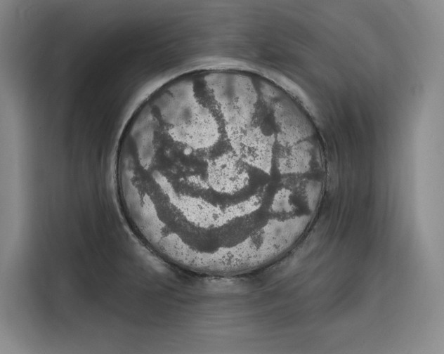 X0000115071231200911241115