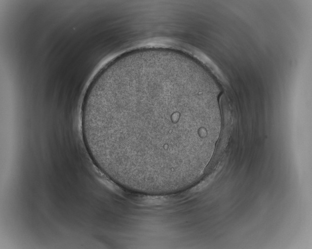 X0000115071232200911241115