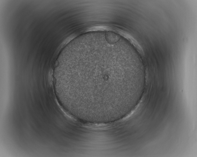 X0000115071233200911241115