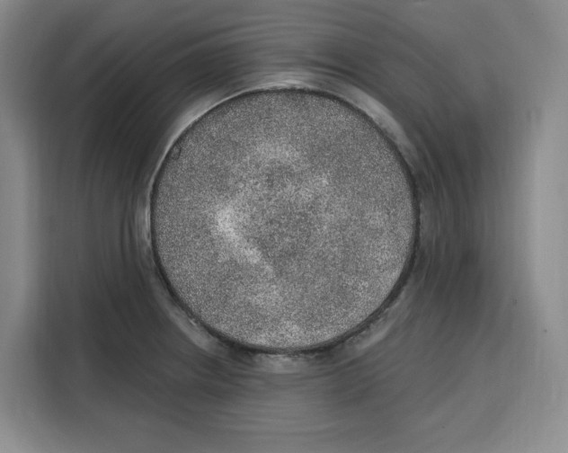 X0000115071234200911241116