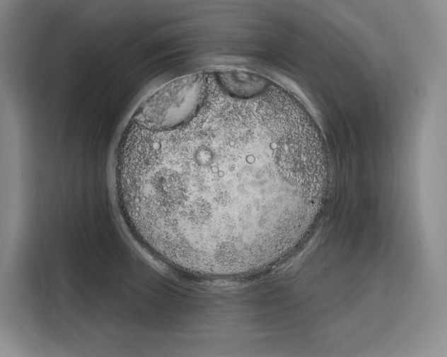 X0000115071235200911241116