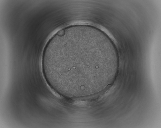 X0000115071237200911241116