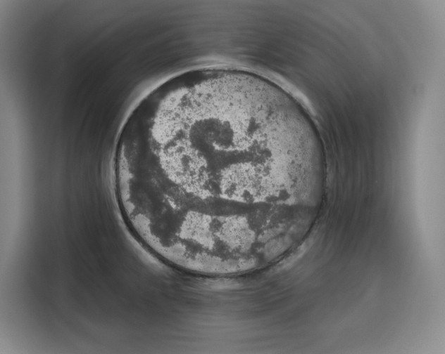 X0000115071239200911241116
