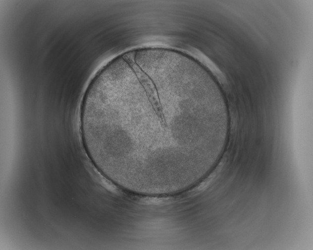 X0000115071240200911241116