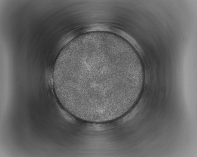 X0000115071241200911241116
