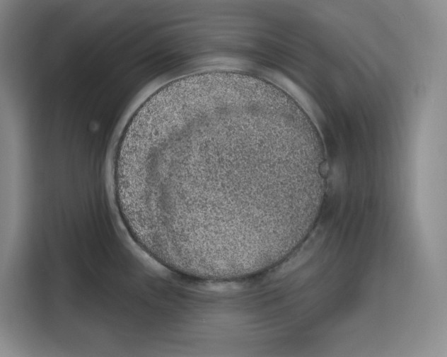 X0000115071243200911241116