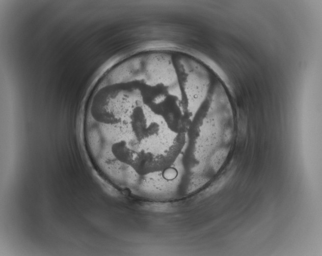 X0000115071245200911241116