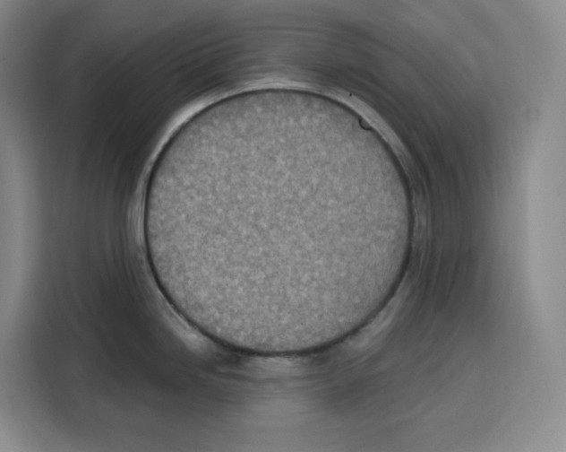 X0000115071246200911241116