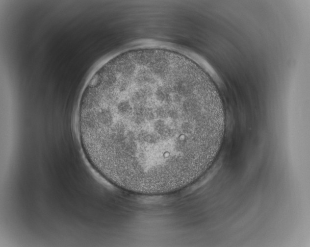 X0000115071247200911241116