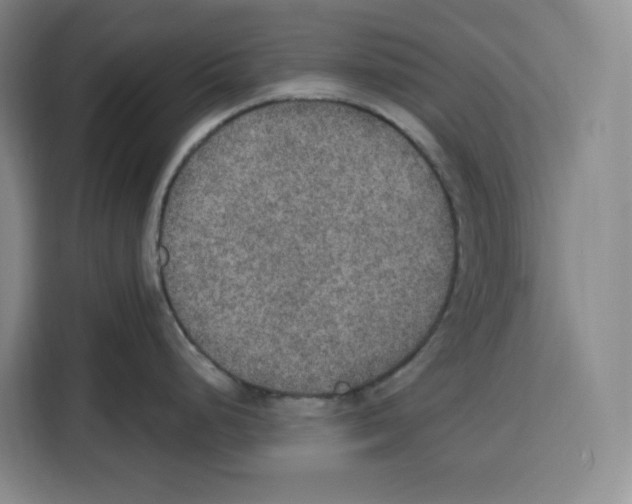 X0000115071248200911241116