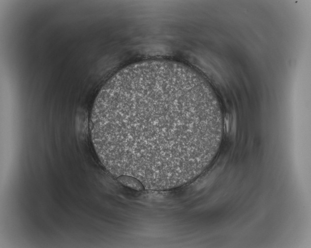 X0000115071251200911241115