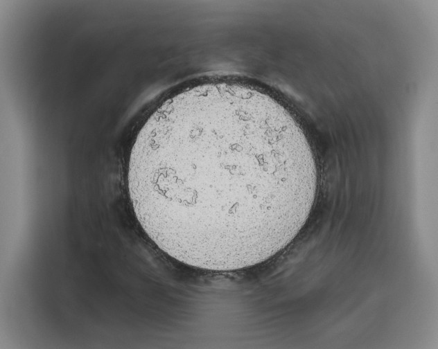 X0000115071255200911241115