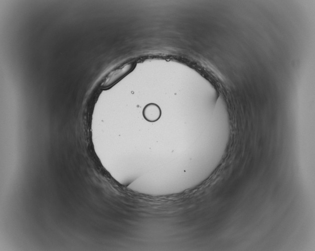 X0000115071256200911241115