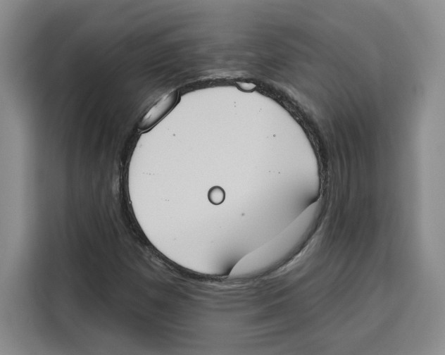 X0000115071257200911241115