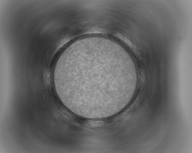 X0000115071258200911241115