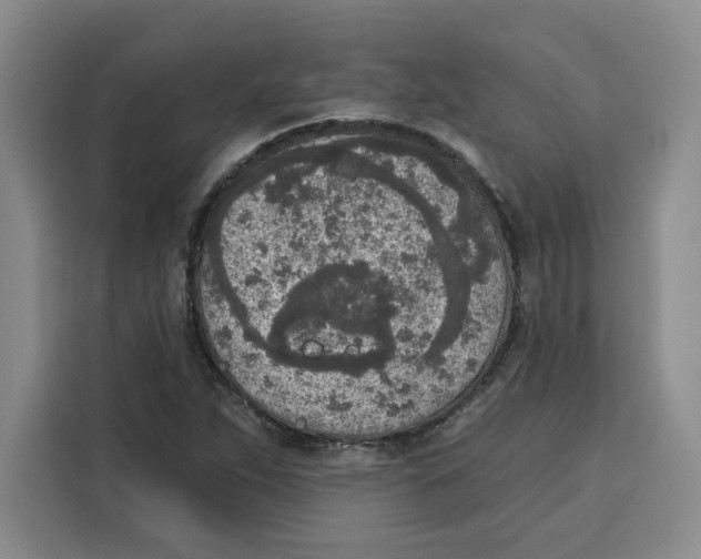 X0000115071263200911241115