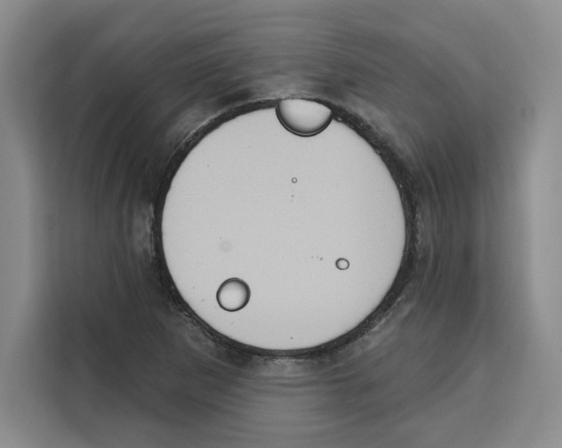 X0000115071265200911241115