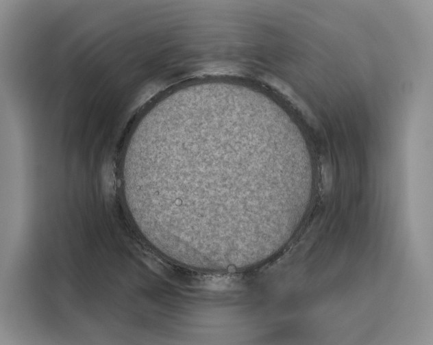 X0000115071266200911241115