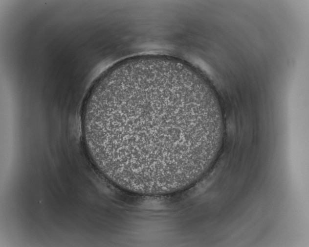 X0000115071267200911241115