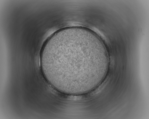 X0000115071269200911241115