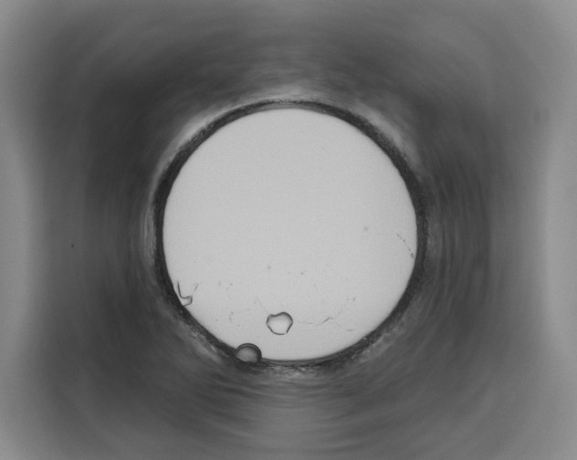 X0000115071270200911241115