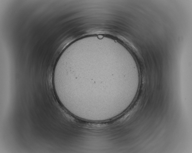 X0000115071273200911241115