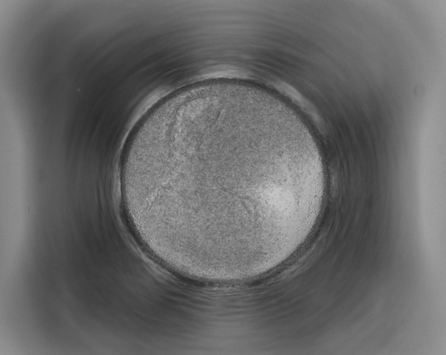 X0000115071274200911241115