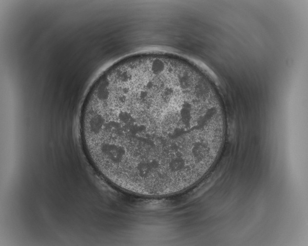 X0000115071279200911241115