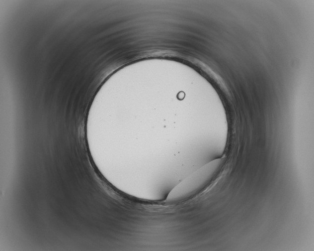 X0000115071281200911241115