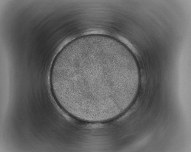 X0000115071282200911241115