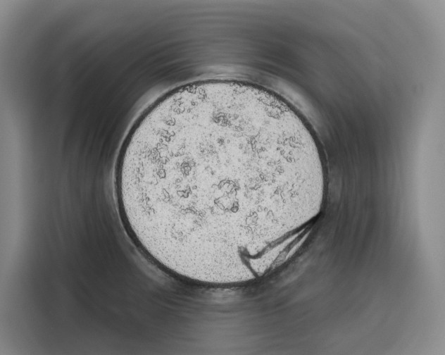 X0000115071283200911241115