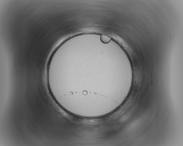 X0000115071286200911241115