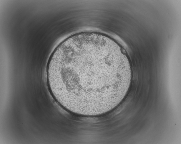 X0000115071287200911241115