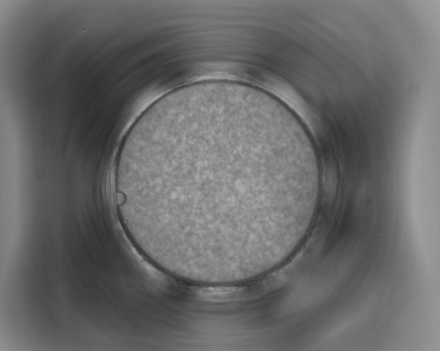 X0000115071290200911241115