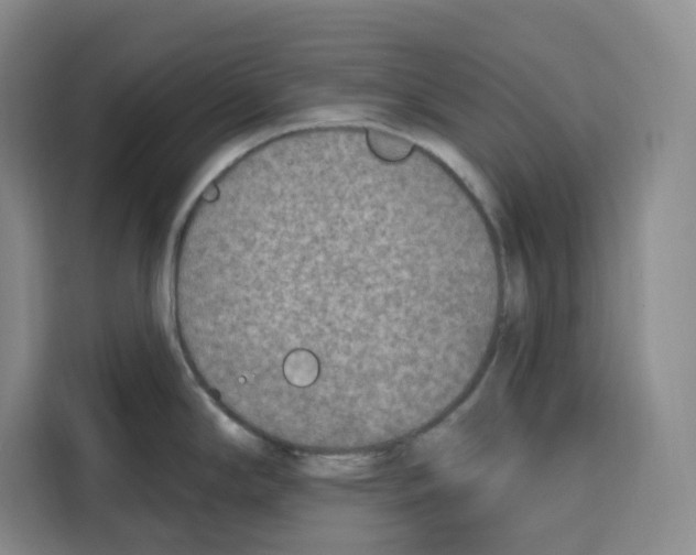 X0000115071294200911241114