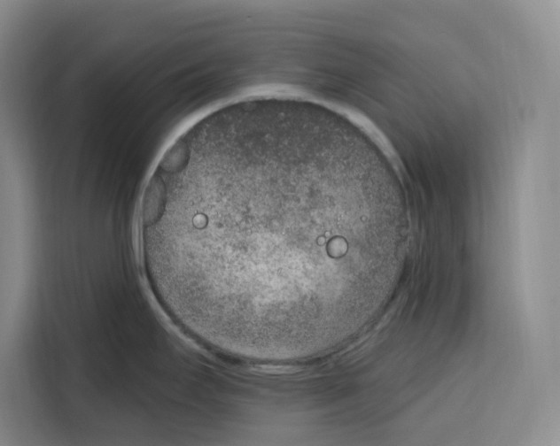 X0000115071295200911241114