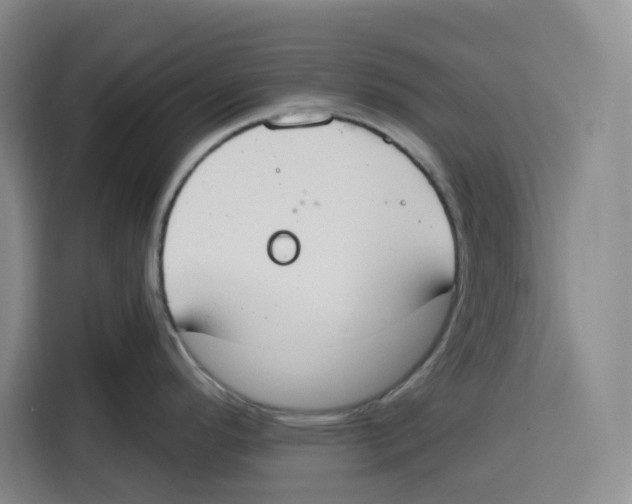 X0000115071296200911241114