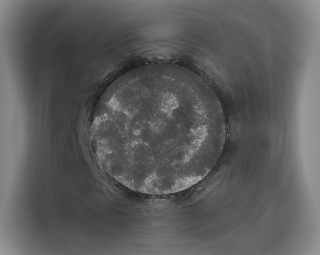 X0000115071297200911241114