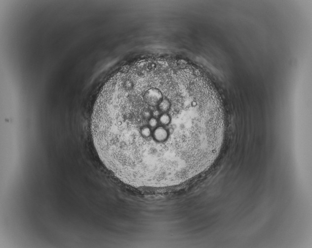 X0000115071302200911241114