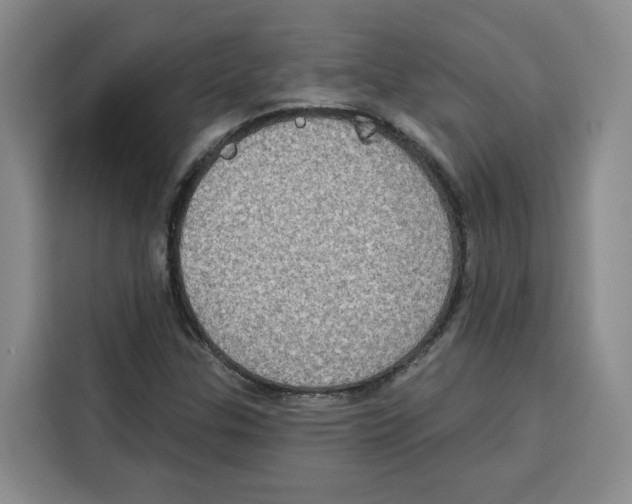 X0000115071307200911241114