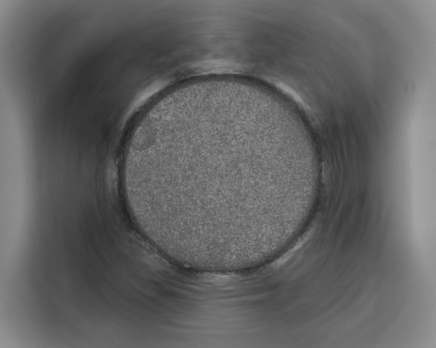X0000115071309200911241114