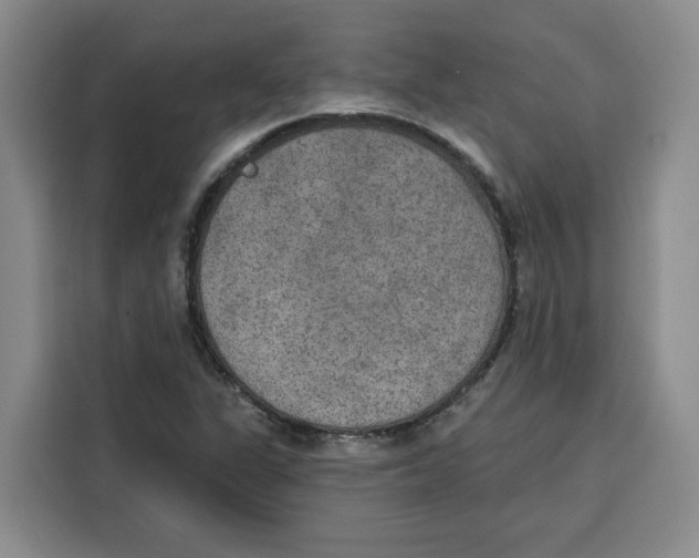 X0000115071311200911241114