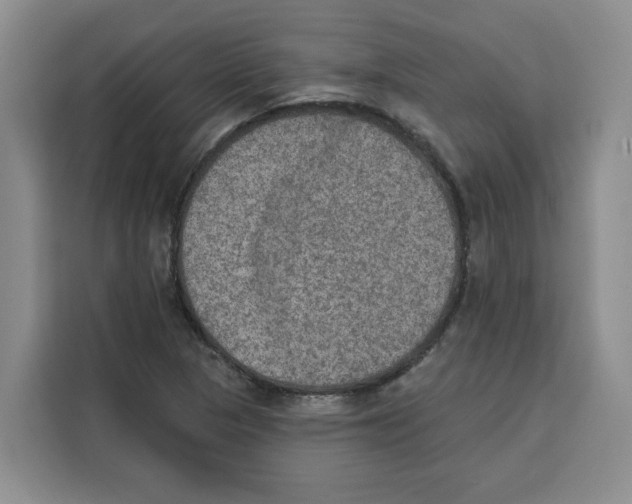 X0000115071313200911241114